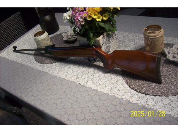 luchtbus diana  model 35